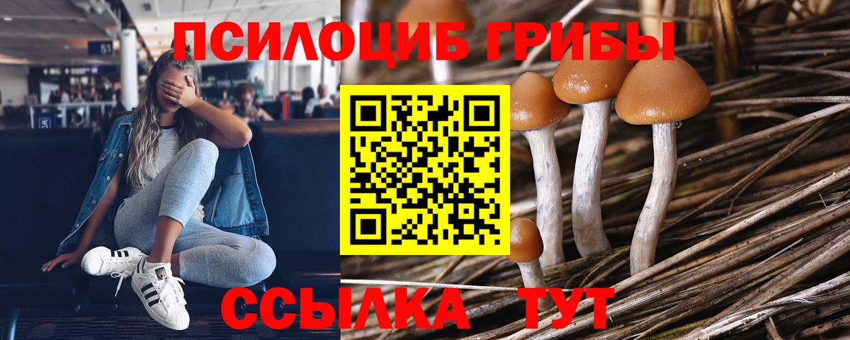 Карачаевск  Псилоцибиновые грибы GOLDEN TEACHER  Псилоцибиновые грибы Psilocybine cubensis  Вход с VPN 